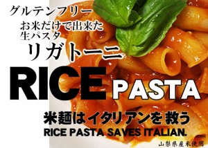 【事業所配送（個人宅不可）】 Rice Pasta 米麺はイタリアンを救う お米だけで出来た 生パスタ リガトー二（ショート） 10食 冷凍