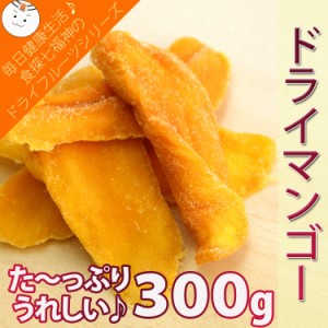 【全国送料無料】ドライマンゴー300g  業務用/常温/メール便配送