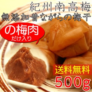 【全国送料無料】無添加１００％梅肉500g　紀州南高梅使用　昔ながらの梅干し　しぼりやすい業務用パッケージ/常温/メール便配送