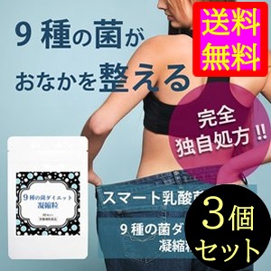 ●送料無料☆ヤセたい⇒9種の菌で1袋840億個以上!!【9種の菌ダイエット凝縮粒 ３個セット】ダイエットサプリ/materi45P6