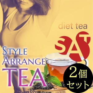 ●送料無料☆ダイエット茶/ダイエット成分を茶葉へ配合【スタイルアレンジティー ２個セット】デキストリン/キャンドルブッシュ/ギムネマ