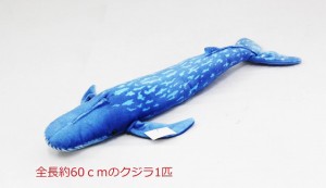 大きな ぬいぐるみ くじら 60cm 鯨 哺乳類 水生動物 ハクジラ ヒゲクジラ 抱き枕 魚 さかな ドール