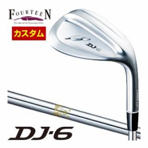 特注カスタムクラブ フォーティーン DJ-6 ウエッジ N.S. PRO 850GH シャフト