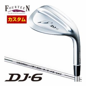 特注カスタムクラブ フォーティーン DJ-6 ウエッジ Fourteenオリジナル N.S.PRO TS-114w-Ver2 スチールシャフト