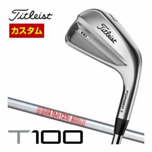 特注カスタムクラブ タイトリスト T100 アイアン N.S.PRO 880 AMC シャフト 単品[＃3、＃4、W50]