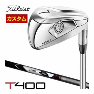 特注カスタムクラブ タイトリスト T400 アイアン Titleist 3D055 / 3D325 カーボンシャフト 5本セット[＃7-P、W43]