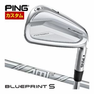 特注カスタムクラブ ピン BLUEPRINT S アイアン AMT TOUR WHITE シャフト 4本セット[＃7-P]