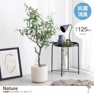 【g162004】Nature ナチュレ 観葉植物 オリーブ フェイクグリーン 人工 室内 リビング オフィス 一人暮らし 緑 インテリア