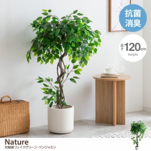 【g162009】Nature ナチュレ 観葉植物 ベンジャミン フェイクグリーン 人工 室内 リビング オフィス 一人暮らし 緑 インテリア