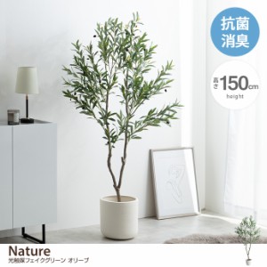 【g162014】Nature ナチュレ 観葉植物 オリーブ フェイクグリーン 人工 室内 リビング オフィス 一人暮らし 緑 高さ150cm 光触媒