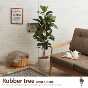 【g46029】観葉植物 ゴムの木 ゴム rubber tree rubbertree 室内 イミテーショングリーン 人工 造花 植物 大型 光触媒 おしゃれ
