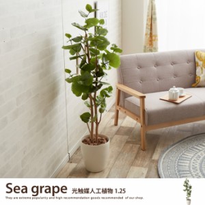 【g46030】観葉植物 シーグレープ sea grape 室内 イミテーショングリーン 人工 造花 植物 大型 125cm 1m25cm 光触媒 おしゃれ