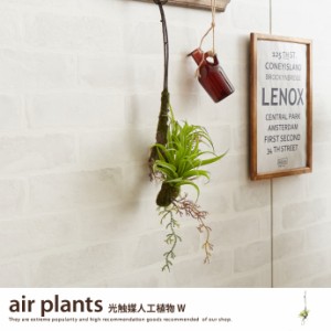 【g46034】観葉植物 エアプランツ エアープランツ air plants 室内 イミテーショングリーン 人工 造花 植物 壁掛け 吊り下げ