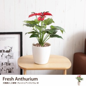 【g46045】Fresh Anthurium フレッシュアンスリウムM 人工植物 観葉植物 光触媒 水やり不要 お手入れ不要 グリーン リアル