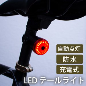 自転車用テールライト テールランプ 自転車 補助灯 USB充電 インテリジェントスマートチップ搭載 シートポスト 取り付け サドル 取り付け