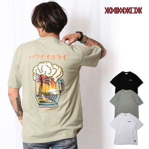 30％OFF SALE セール ANIMALIA アニマリア I'd like to go to Hawaii メンズ Tシャツ atftps