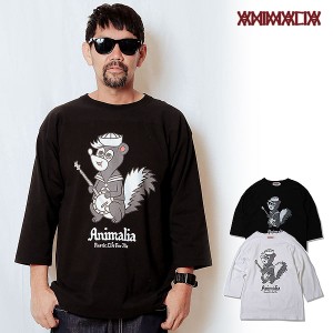 ANIMALIA アニマリア 3/4 Sleeve CUT SEW - Banjo Skunk メンズ Tシャツ atftps