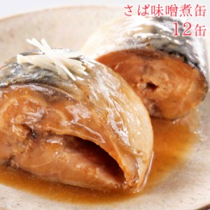 魚 缶詰 魚缶詰 防災 鯖缶 味噌煮缶 12缶 セット 宝幸 HOKO 日本のさば サバ缶 鯖 サバ さば 味噌煮 12缶セッ