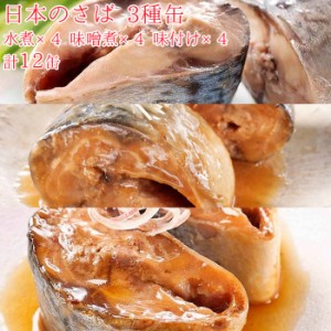 魚 缶詰 魚缶詰 防災 鯖缶 ＆缶 各4缶 12缶 セット 宝幸 HOKO 日本のさば サバ缶 鯖 サバ さば 魚缶 12缶セ