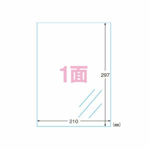 エーワン ラベルシール A4 1面 ノーカット 10シート プリンタラベル インクジェットプリンタ用 28791 ポリエステル