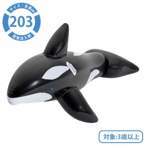 浮き輪 大人 フロート 203cm ジャンボ ホエールライダー WF00237 クジラ ジャンボサイズ 浮輪 大人用 アウトドア レジャー プール 海 海