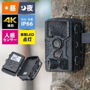 4K トレイルカメラ  防水防塵IP66 防犯カメラ 屋外 暗視 広角 タイムラプス ループ録画 乾電池式 [400-CAM091]
