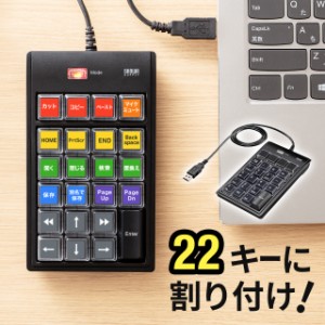 プログラマブルテンキー 自作  キー割付 DTM CAD 22キー 有線 USB接続[400-NT008]