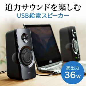 USB電源 アンプ内蔵スピーカー 36W出力[400-SP082]