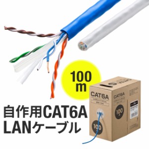 CAT6A 自作用LANケーブル 100m ケーブルのみ 伝送速度10Gbps 伝送帯域500MHz レンズマーク入り ブルー ホワイト[500-LAN6A-CB100]