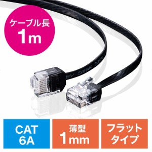 薄型 Cat6A LANケーブル 1m ブラック[500-LAN6AFL-01]