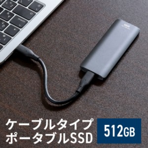 ポータブルSSD 外付け USB3.2 Gen2 512GB 最大書込速度約1000MB/s 小型 テレビ録画 PS5/PS4/Xbox Series X Type-A/Type-C[600-USSDL512GB