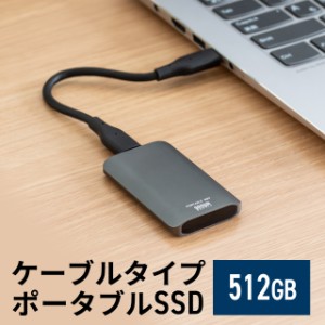 ポータブルSSD 外付け USB3.2 Gen2 512GB  最大書込速度約540MB/s  小型 テレビ録画 PS5/PS4/Xbox Series X Type-A/Type-C[600-USSDS512G