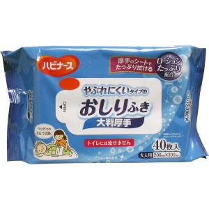 ハビナース やぶれにくいタイプのおしりふき 大判厚手 大人用 40枚入 普通郵便のみ送料無料