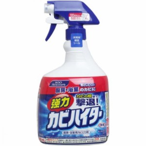 花王業務用 強力カビハイター スプレー 1000mL 普通郵便のみ送料無料