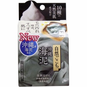 自然ごこち 沖縄海泥 洗顔石けん 泡立てネット付き 80g 4901525007290 普通郵便のみ送料込