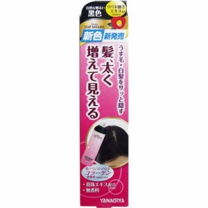 レディーストップシェード　スプレーウィッグ　自然な明るい黒色　100g 白髪隠し　部分染めスプレー 普通郵便のみ送料無料