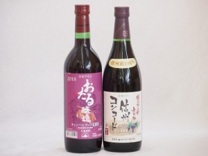 国産赤ワイン2本セット(北海道赤ワイン キャンベルアーリ辛口 信州コンコード赤ワイン中口) 720ml×2本