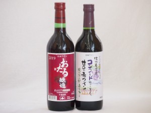 国産赤ワイン2本セット(おたる醸造 生葡萄酒 山ぶどう やや甘口 信州コンコード甘口赤ワイン) 720ml×2本