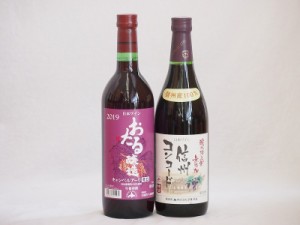 国産赤ワイン2本セット(北海道赤ワイン キャンベルアーリ辛口 信州コンコード赤ワイン中口) 720ml×2本