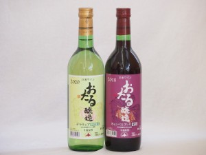 おたるスペシャル2本セット(北海道赤ワイン キャンベルアーリ辛口 おたる醸造 デラウェア 生葡萄酒 やや甘口) 720ml×2本