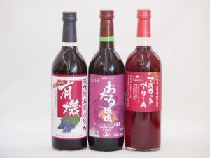 飲み比べおすすめ赤ワイン3本セット(北海道赤ワイン キャンベルアーリ辛口 山梨県マスカットベーリーA赤ワイン 有機赤ワイン コンコード