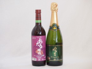 おたるワイン2本セット(キャンベルアーリ赤ワイン生葡萄酒 辛口 ナイアガラスパークリング白ワインやや甘口) 720ml×2本