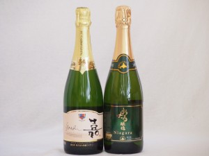 スパークリングワイン飲み比べ2本セット(ナイアガラスパークリング白ワインやや甘口 嘉スパークリングオレンジマスカット甘口) 720ml×2