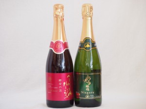 スパークリングワイン飲み比べ2本セット(ナイアガラスパークリング白ワインやや甘口 マスカットベーリーA種スパークリング赤ワイン辛口) 