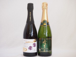 スパークリングワイン飲み比べ2本セット(ナイアガラスパークリング白ワインやや甘口 京都丹波産スパークリング赤ワイン中口) 720ml×2本