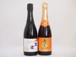 スパークリングワイン飲み比べ2本セット(キャンベルスパークリング赤ワインやや甘口 京都丹波産スパークリング赤ワイン中口) 720ml×2本