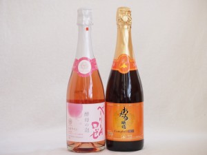 スパークリングワイン飲み比べ2本セット(キャンベルスパークリング赤ワインやや甘口 マスカットベーリーA種スパークリングロゼワインやや