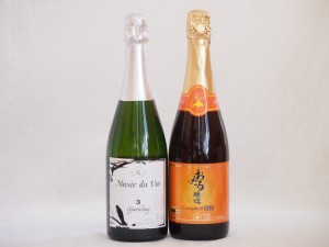 スパークリングワイン飲み比べ2本セット(キャンベルスパークリング赤ワインやや甘口 辛口スパークリング白ワイン ミュゼドゥヴァン3 ブラ