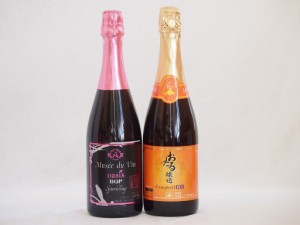 スパークリングワイン飲み比べ2本セット(キャンベルスパークリング赤ワインやや甘口 辛口スパークリングロゼワイン ミュゼドゥヴァン ブ