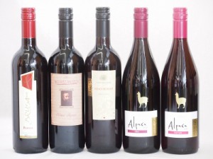 イタリア×チリ赤ワイン5本セット(コルテ デル ニッピオ ロッソ ブルーサ ロッソ ミケランジャロ ロッソ アルパカピノ・ノワール アルパ